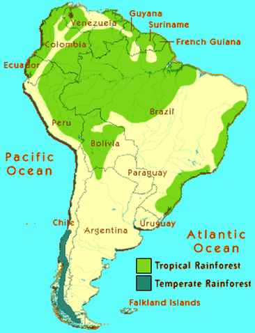 Biome location - Amazon Rainforest